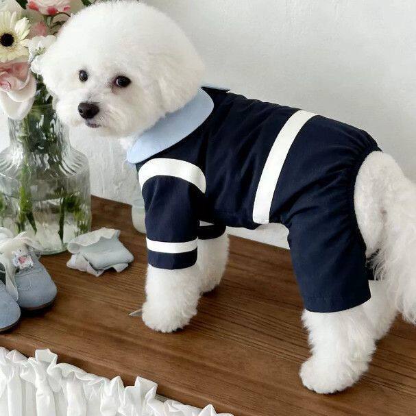 Pet dog cat can be towed four-legged teddy autumn and winter velvet than the bear Schnauzer VIP cat pet clothing