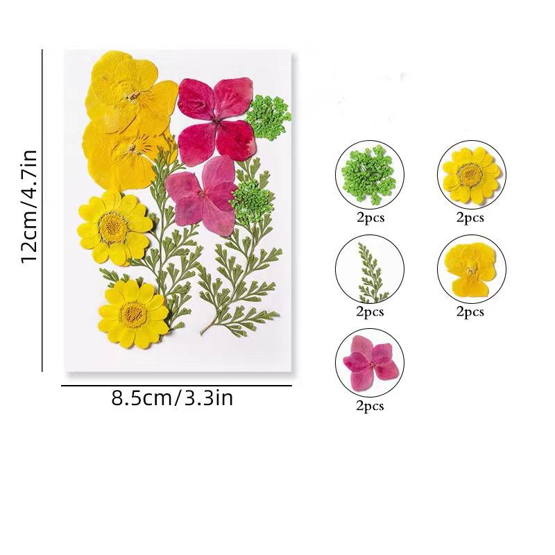 DIY Transparent Bottle Embossed Sticker Bag Student Made Herbarium Clip And Stick Handmade Creative Dry Flower Bookmark