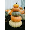 Terracotta Fall Pumpkin Canvas Gallery Wall Prints Autumn Maple Leaf Wheat Wall Art Farmhouse Thanksgiving Home Decor Gift
