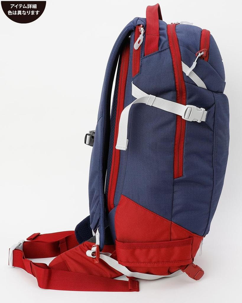 Dakine HELI PRO 24L RUB F Snow Bag