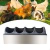 Feeder Trough Stainless Steel Chick Feeding Dispenser Tray for Duck