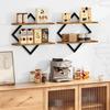 Retro Wall Mounted Shelves, Double Layer Rustic Wooden Storage Rack for Bathroom, Kitchen, Living Room Decor