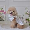 Soft Pet Summer Clothes Lace Cat Flying Sleeve Skirt Fashion Pet Princess Dress  for Puppy Kittens