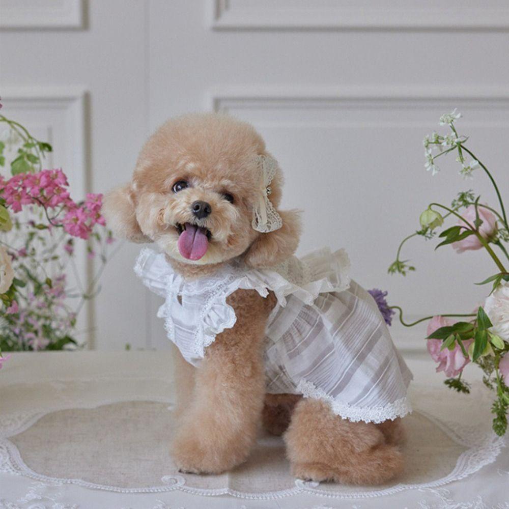 Soft Pet Summer Clothes Lace Cat Flying Sleeve Skirt Pet Supplies Pet Princess Dress  Summer