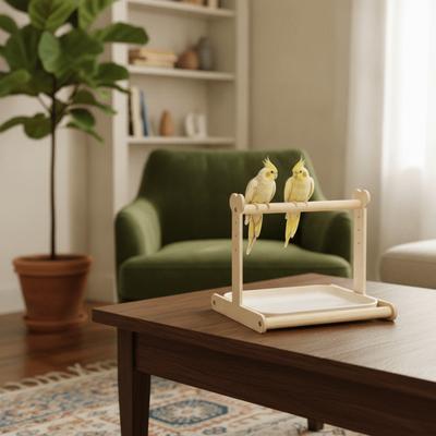 Creative Parrot Potty Training Platform Anti-Splash Design Interactive Parrot Desktop Stand Detachable Tray Sturdy