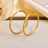 Vintage Metal Big Round Hoop Earrings for Women,Statement  Dangle Earrings,Stainless Steel Gold Plated Earring Jewelry Gifts