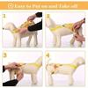 Adjustable Dog Physiological Pants Leak Proof Dog Sanitary Panties Pet Underwear  Estrus Period