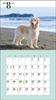 2024 Calendar Cute Golden Retriever (Seibundo Shinkosha Calendar)