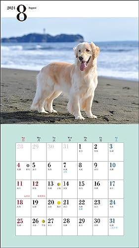 2024 Calendar Cute Golden Retriever (Seibundo Shinkosha Calendar)