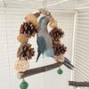 Bird Parrot Perch Naturally Bird Swing Multiple Functional Wood Perch for Bird