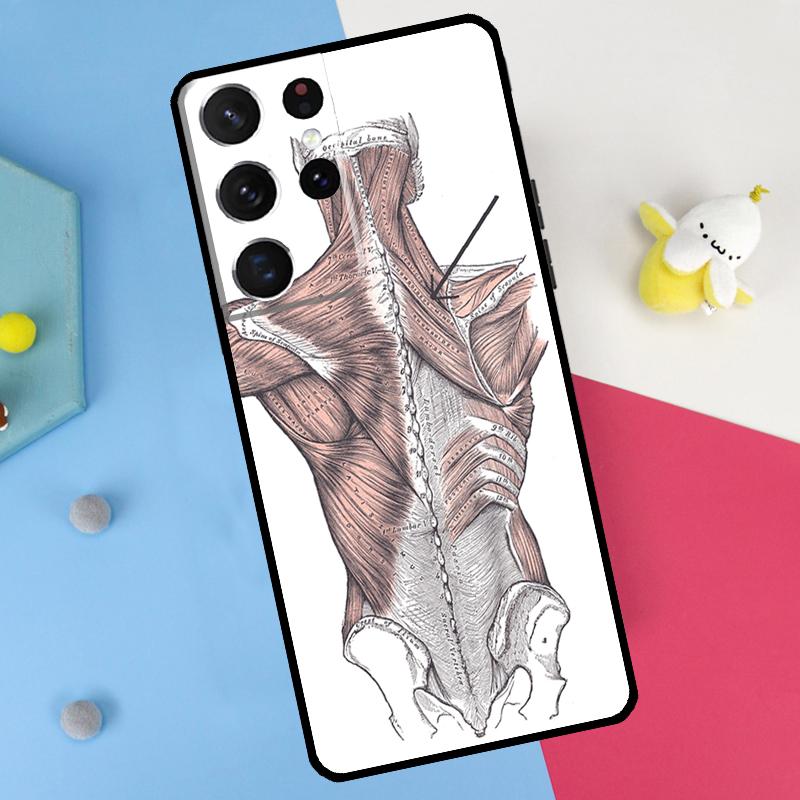 Human Anatomy Back Case For Samsung Galaxy S26 S25 S24 S21 S22 S20 Ultra S10 Plus S23 FE S25 FE Soft Cover