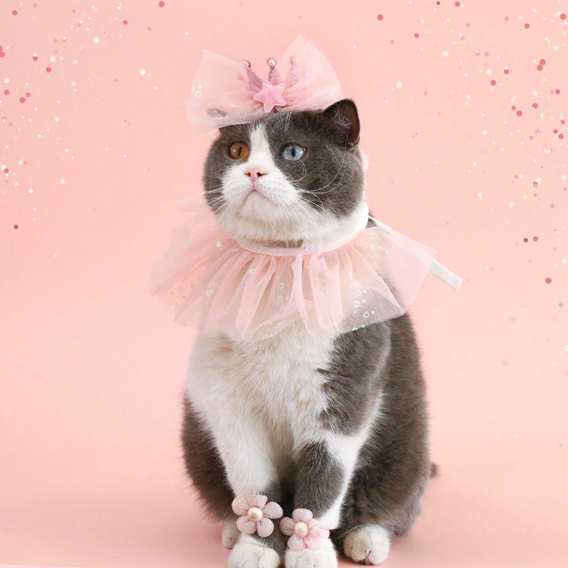 Pet Birthday Hat Bib Party Hat Cat Puppy Lace Saliva Towel Dog Bandana Scarf Dog Birthday Dress Up Photography Props Supplies