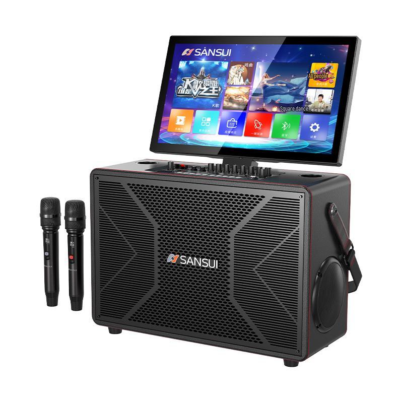 SANSUI Portable KTV Karaoke Sound System