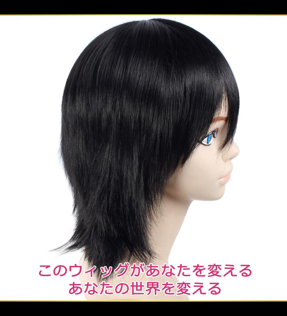 CaseEden Cosplay Wig, Premium Short Hair, 35cm, Black, 6065
