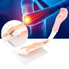 Arm Moving Model Anatomical Elbow Joint Motion Model Primary School Teaching Accessory