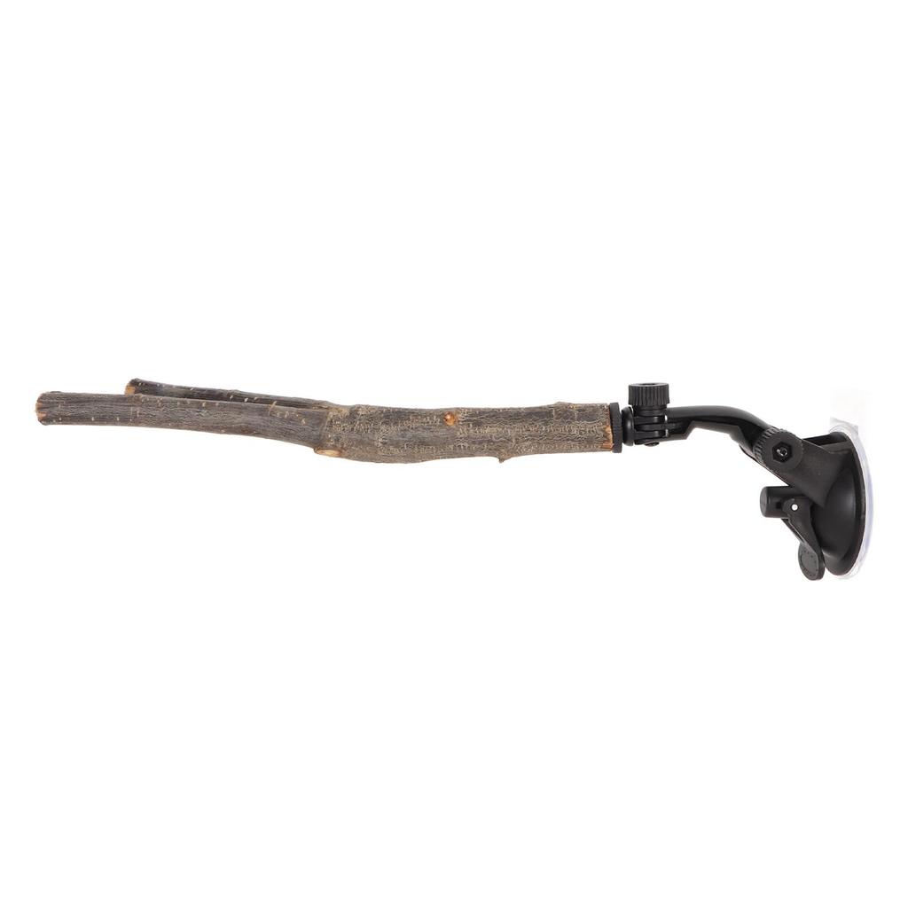 Fuglegren Abbor Stativ Trening Interaktiv Hindre skli Papegøyeabbor i tre med sugekopper for