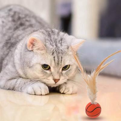 3pcs Cat Interactive Ball Toys Bouncy Balls With Feathers For Indoor Cat High Rebound Pet Flutter Balls Pet Accessories