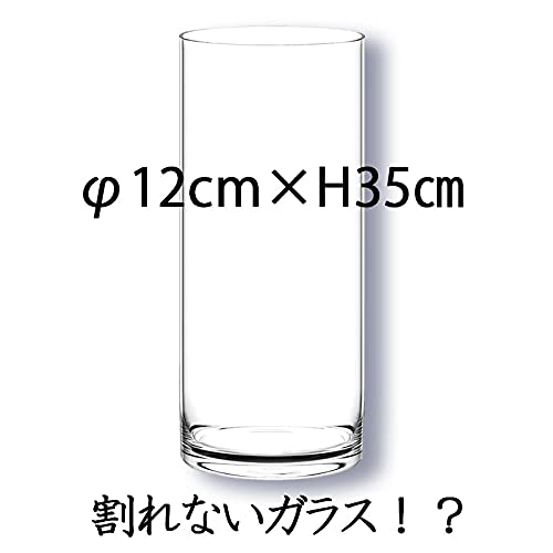 FOYER Unbreakable Vase, Polycarbonate, Stylish, Large, 35cm Tall, 12cm Wide, Product Number 2300131