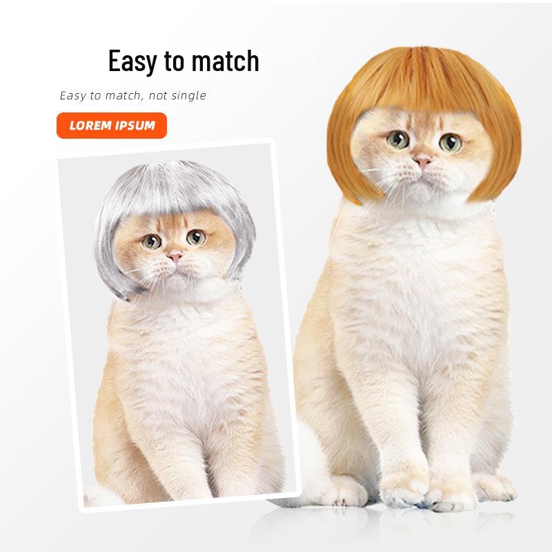 Pet Wigs: Fun Headdresses for Cats & Dogs with Bangs & Bobs, Perfect for Holidays & Dress-Up