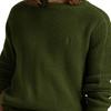 Polo Ralph Lauren Solid Color Crew Neck Long Sleeve Sweater Men Sweater Olive-Green MNPOSWE16822130-301