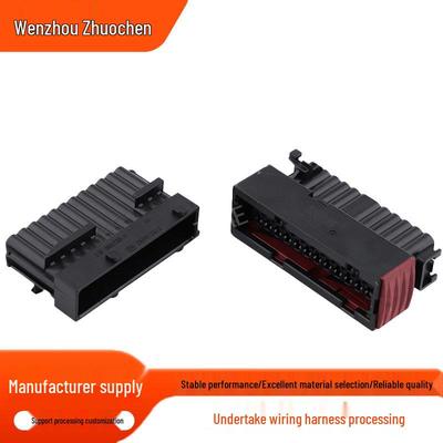 24-Pin Car Connector Plug 967558-1/1-964742-1 (Model: 964739-1)