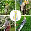 Parrot Costume Bowknot Stylish Comfortable Bird Diapers Fastener Tape Perfect Fit Fine Workmanship  Breathable Parrot Costume