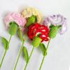 Creative Wool Carnation Bouquet Hand Crocheted Colorful Crocheted Flower Wool Woven Flower Girlfriends