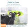 Catnip Wall Ball Licking Snacks Healthy Nutrition Ball Teeth Cleaning Catnip Toy for Cats Clean Mouth Promote Digestion Indoor
