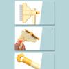 Pet Hair Removal Comb Gentle Comfortable Non-Slip Lightweight Brush Dog Hair Brush Beauty Cleaning Supplies Cat &Dog Universal