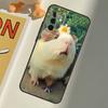 Animal Guinea Pig Case For Samsung Galaxy A14 A24 A34 A54 A12 A22 A32 A52 A72 A51 A71 A13 A33 A53 A73 Coque