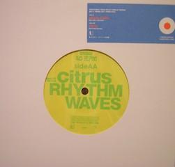 

7inch Record PAPAS FRITAS CITRUS Trattoria 7inch Split Single Series PSKR9103 TRATTORIA 1997 Japan Japanese PopRock Used