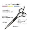 DEEDS GTZ Black Titanium Scissors by Japanese Scissors Manufacturer Professional Thinning with Case [PF] (6.0 inches) / Hairdresser, Hairdresser,