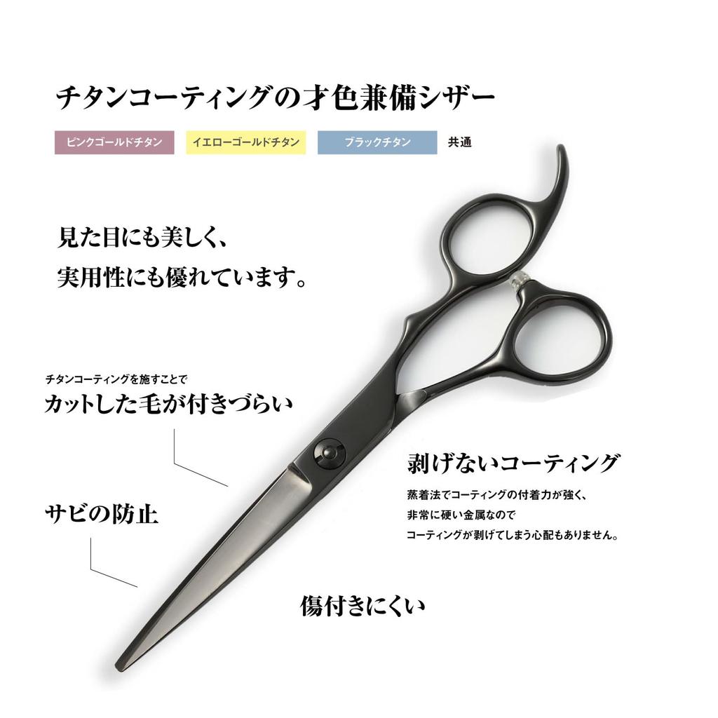 DEEDS GTZ Black Titanium Scissors by Japanese Scissors Manufacturer Professional Thinning with Case [PF] (6.0 inches) / Hairdresser, Hairdresser,