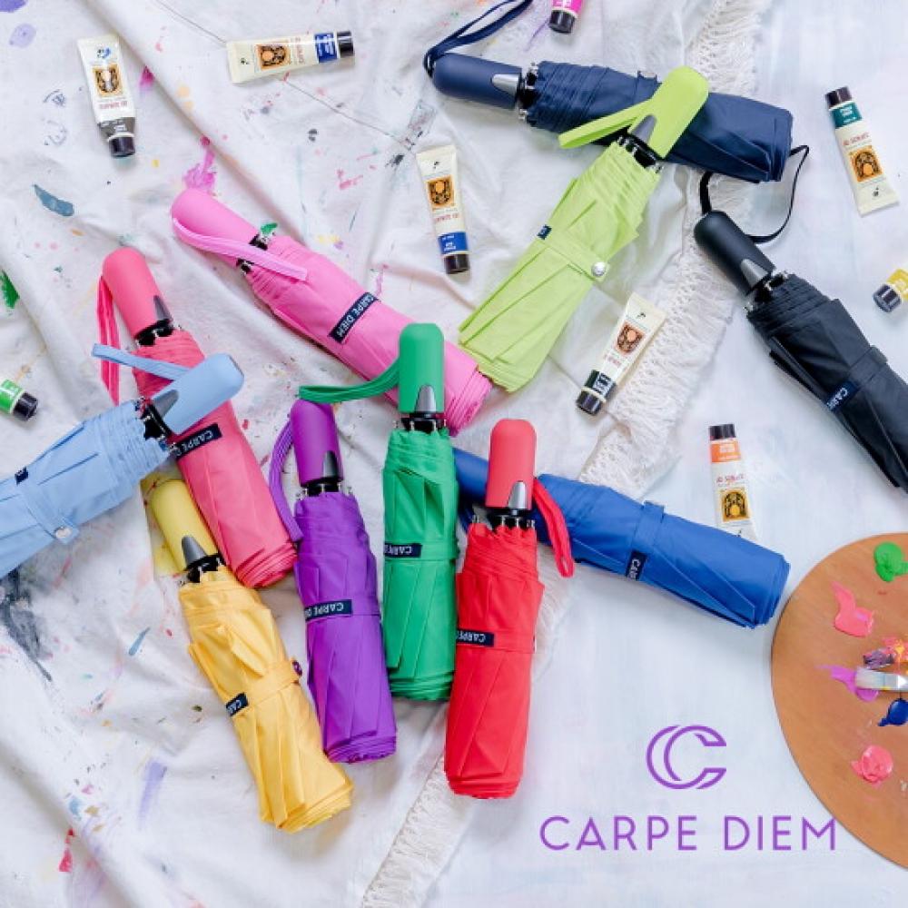Carpe Diem Smart 55 Lightweight 3 Stage Automatic Umbrella S008