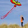 1 Pcs Parrot Kite Small Children's Animal Cartoon Kite Outdoor Toy Kite Children's Toy