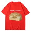 Funny Ed Sheeran Meme Print T Shirts Unisex Unisex Humor Creativity Short Sleeve Casual Soft Summer Tsh