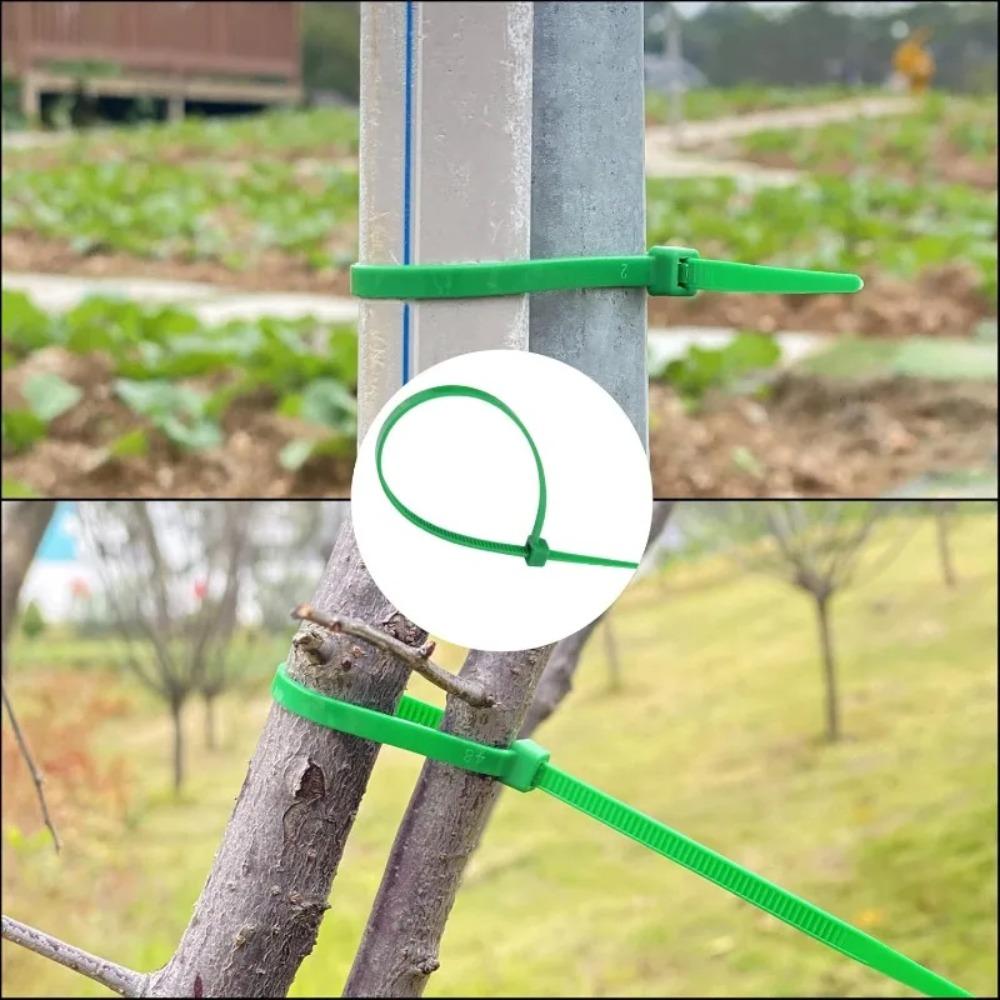 Green Nylon Cable Ties Self-Locking Cord Ties Wire Binding Wrap Straps for Plants Garden Fence Fixed Fastener Rings