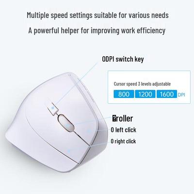 Periferiche per computer – Mouse