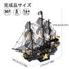 Piececool 3D Black Pearl Sailing Pirate Metallic Nano 3D Metal Assembly No Glue Difficulty Level 5 Ornament Puzzle (Special Edition) Ship, Ship,