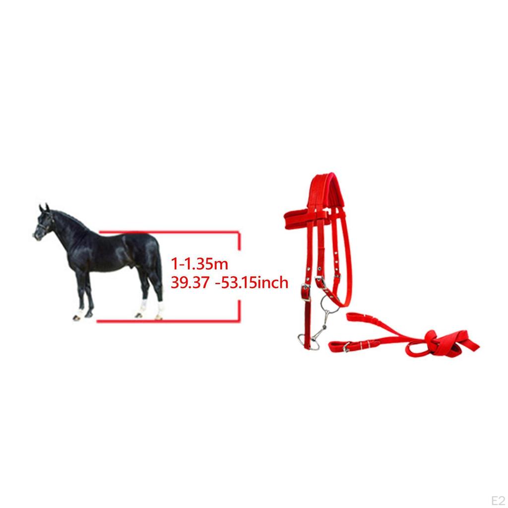 Horse Bridle with Rein And Leading Rope Equestrian Gear for Comfortable Use