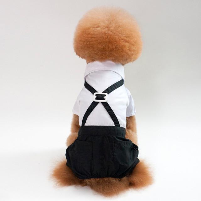 

Рубашка с бабочкой для собак S