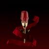 Red Rose Perfume for Women with Long Lasting Fragrance