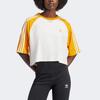Adidas Originals Adicolor Sst Color Block Striped Short Sleeve T-Shirt Women Tops Yellow IZ2826
