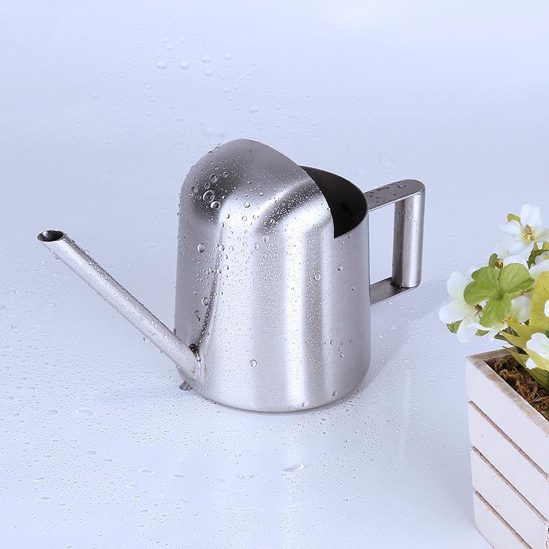 300ML Stainless Steel Watering Can with Long Spout for Plants and Succulents - Ideal for Kids and Mini Gardens