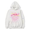 Mens Hip Hop Letter Print Hoodie Loose Fit Casual Streetwear Couples Early Sweatshirt