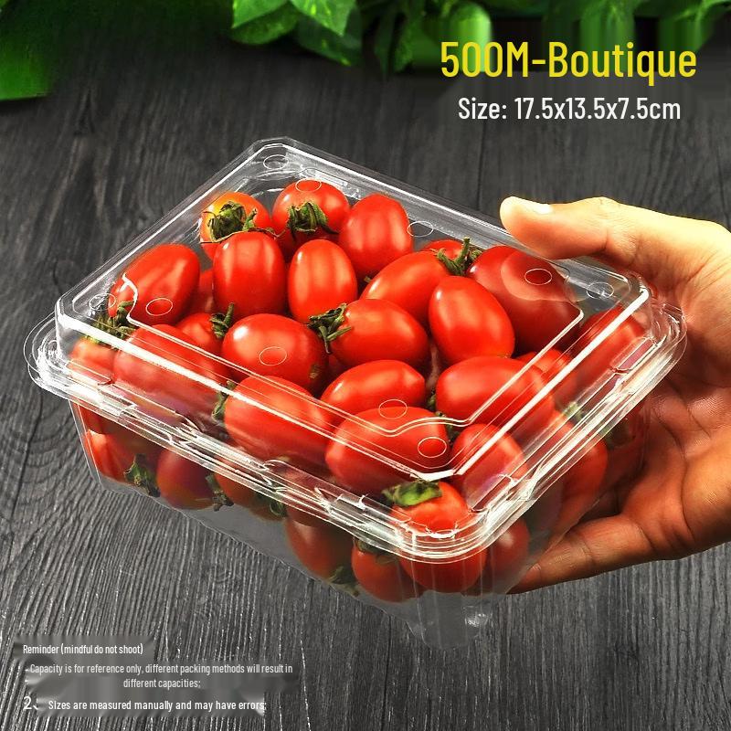 Hantun Disposable Fruit Box
