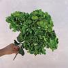 Simulation 5 Heads French Hydrangeas Branch Silk Fake Flowers Restaurant Decoration Champagne Hydrangea Artificial Flower