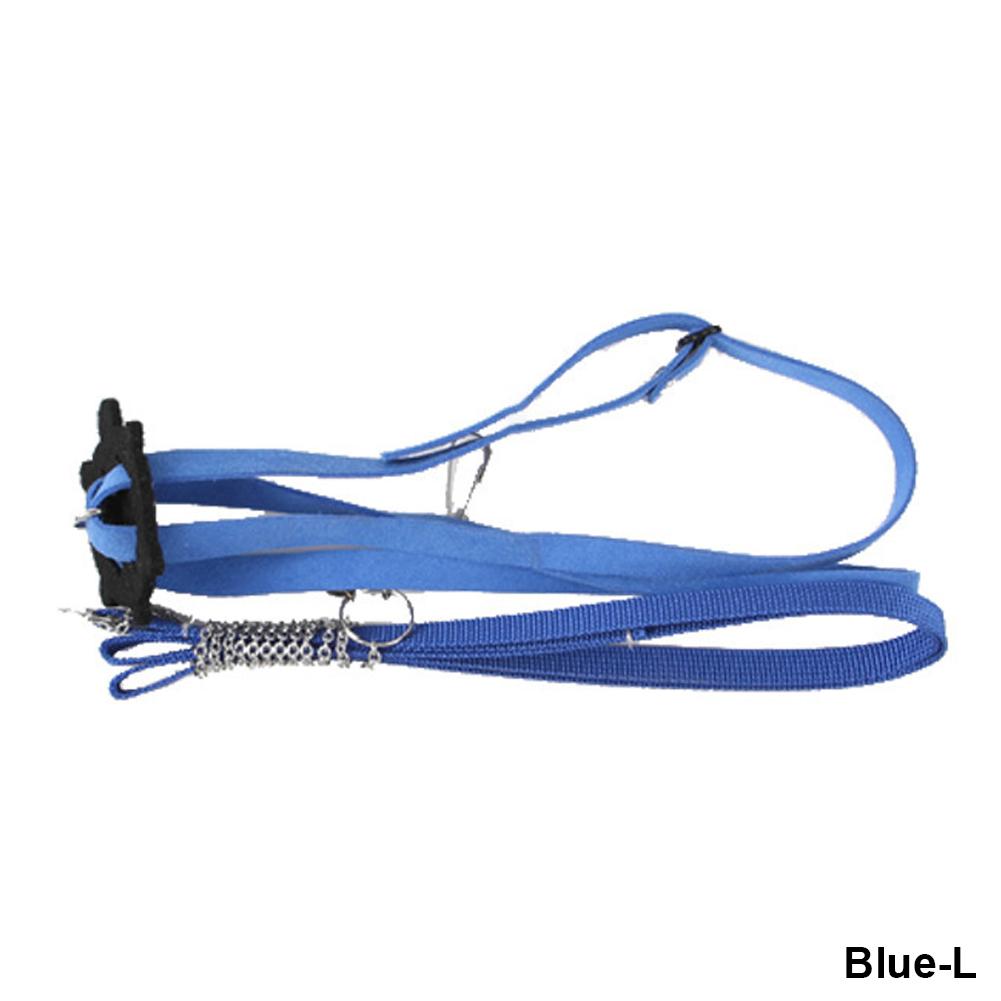 

Черепаховый поводок, износостойкий регулируемый размер, безопасный тяговый ремень, ремень для черепахи, принадлежности для черепах, домашних животных L синий