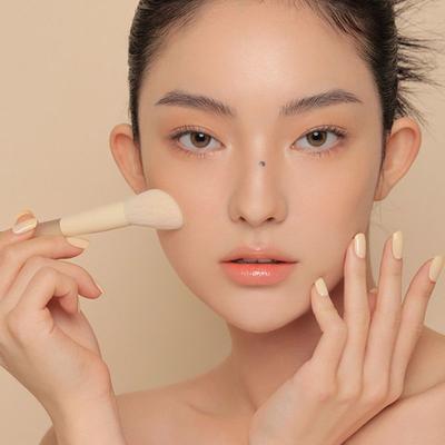 Blending Blusher Brush