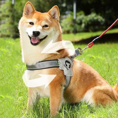 Psy – Obojky a vodítka pro psy